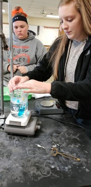 Biology students investigate cell membranes and enzyme activity