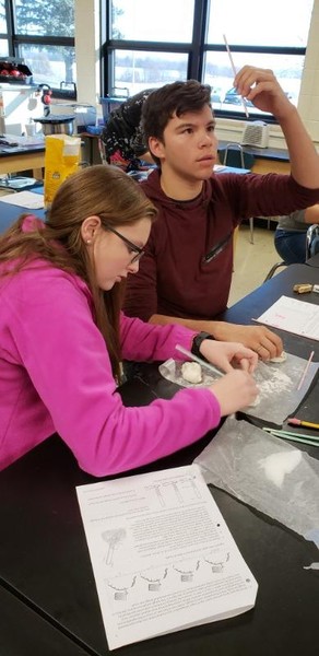 Biology Students Investigated Factors Influencing Rates of Respiration in Yeast