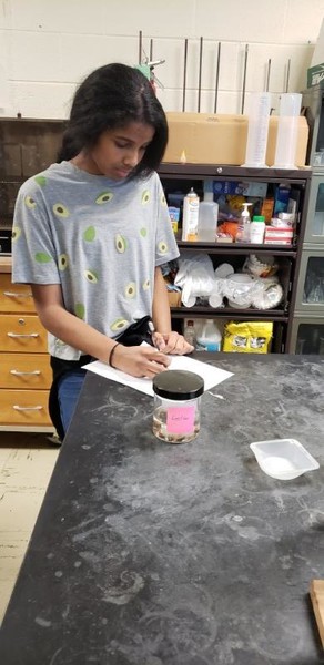 7th Graders Differentiate Between Living and Nonliving Objects